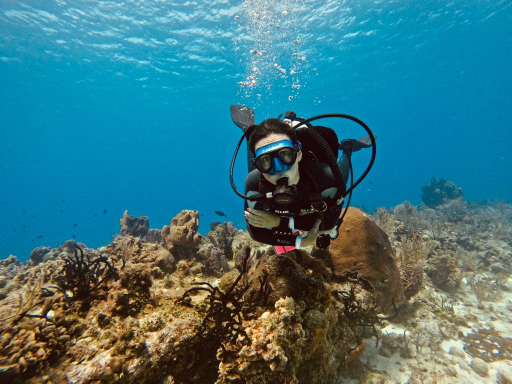 Diving Cozumel Reef