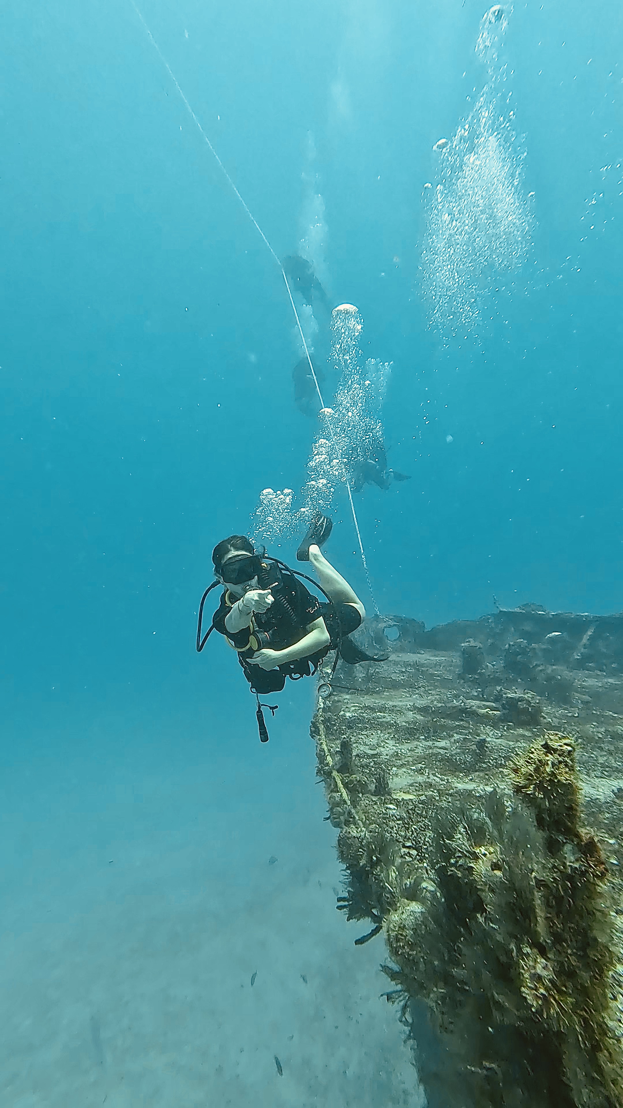 Puerto Morelos wreck dive diver descent line